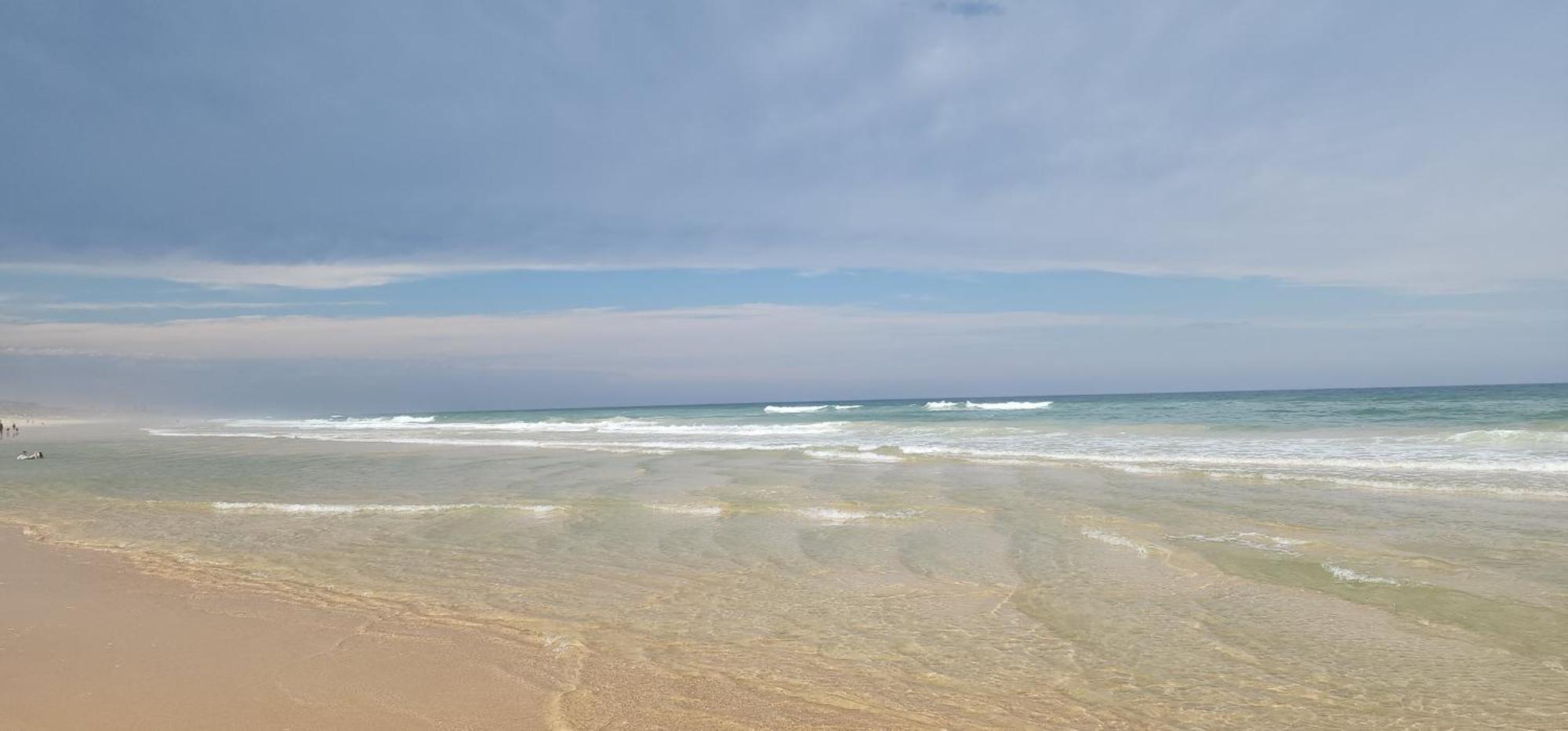 Serene Beachside Apartment Marcoola Dış mekan fotoğraf